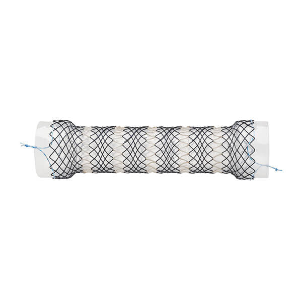 segmented esophageal stents