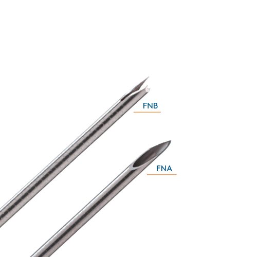 FNA & FNB EUS Needles